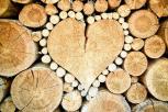 Poznaj najwaniejsze cechy opalarki do drewna